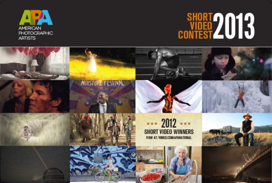 Call for entries for APA 2013 Short Video Contest